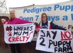 Boycott Dogs4Us Protest Salford